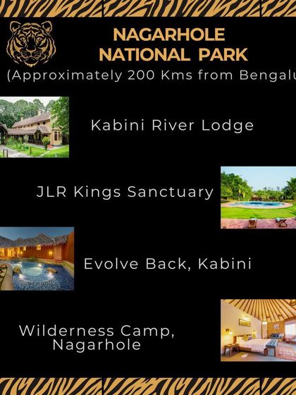 Nagarhole National Park, also known as Kabini, is a premier wildlife destination 200 kms from Bangalore. I offer a range of stays here, from the heritage Kabini River Lodge to the ultra-luxurious Evolve Back.