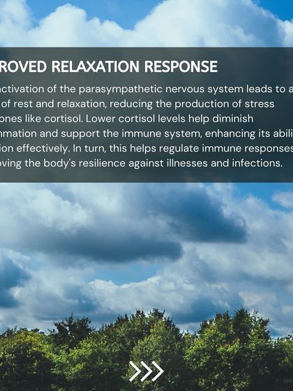 Being in nature activates our parasympathetic nervous system, which is our "rest and relax" mode. This lowers stress hormones like cortisol, which in turn reduces inflammation and supports our immune system.