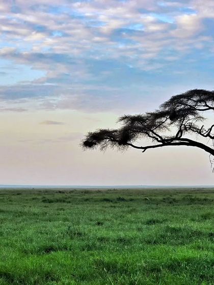 Giants & Other Jewels photo 20