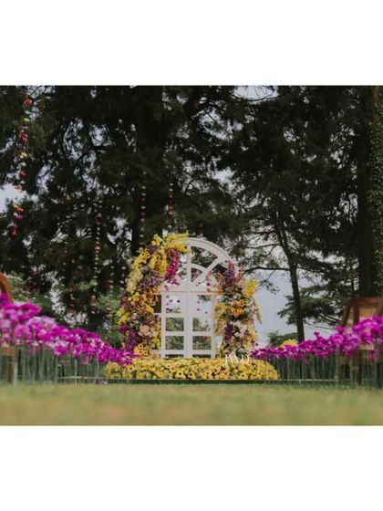 Vibrant Celebrations: Haldi & Mehendi photo 5