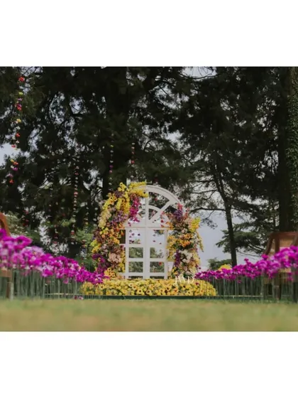 A low-angle view of the Haldi decor, showing the aisle lined with purple orchids leading to the main seating area. Every detail is planned for a picture-perfect result.