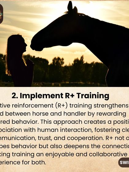 Positive reinforcement, or R+ training, is a powerful tool for building a strong bond. This method focuses on rewarding desired behavior, which fosters trust and makes training an enjoyable experience for both horse and handler.
