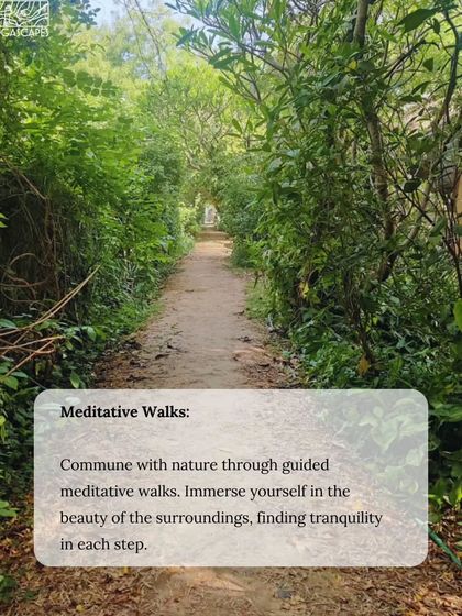 Commune with nature through guided meditative walks. Immerse yourself in the beauty of the surroundings, finding tranquility in each step.