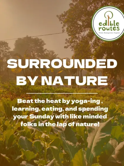 Beat the heat and the stress of city life by spending your Sunday with us. Enjoy yoga, learning, and eating in the lap of nature with a welcoming community.