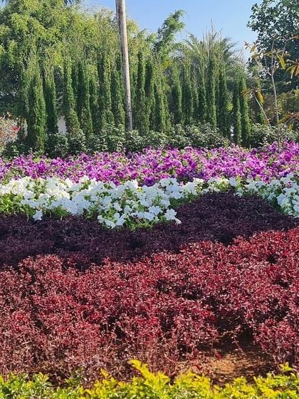 Ratnashri Landscapers - Landscape Design & Build My Journey in Nature photo 13