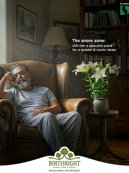 For the dad who deserves a peaceful nap, a flowering lily can transform his 'snore zone' into a serene space. Its gentle fragrance and air purifying qualities contribute to a quieter, cozier sleep.