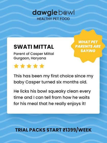 When a puppy waits eagerly for his meal and licks the bowl clean, it’s the best feedback possible. I am so happy Casper has been enjoying his meals since he was six months old.