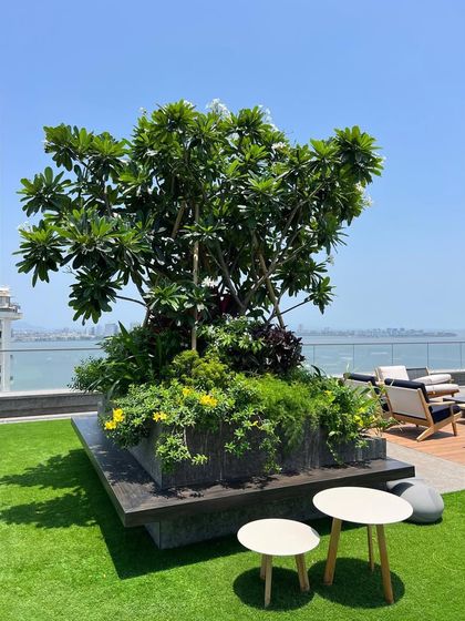 Rooftop & Terrace Sanctuaries photo 3