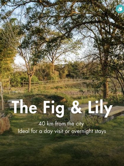 The Pack - Pet-Friendly Adventures & Meetups Pet-Parent Resources: Guides & Tips photo 18