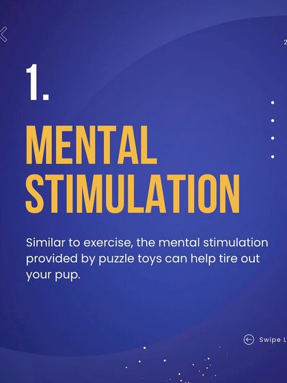 Deepthi - Canine Enrichment Services Brain Games & Puzzle Sessions photo 7