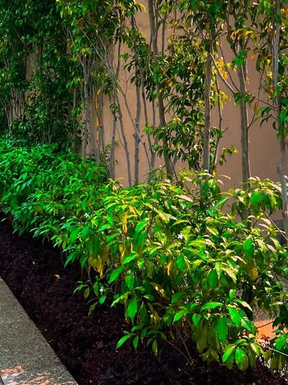 Luxury Villa & Farmhouse Estates photo 32