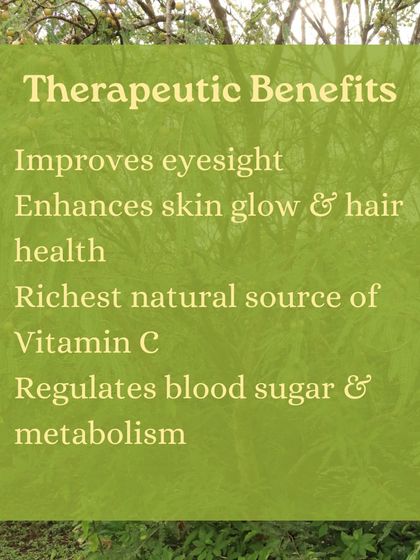 Discover the benefits of Amla, or Indian gooseberry, a fruit treasured in Ayurveda for its rejuvenating properties. We show you how to use it in everything from chutneys to hair oil.