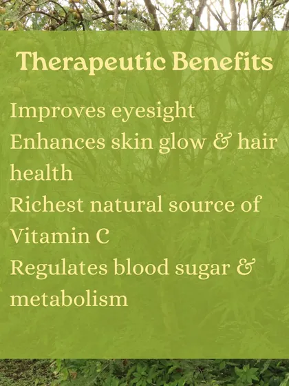 Discover the benefits of Amla, or Indian gooseberry, a fruit treasured in Ayurveda for its rejuvenating properties. We show you how to use it in everything from chutneys to hair oil.