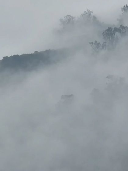 (Duplicate of 102) A close-up of the disappearing hills, where the fog erases the horizon. These ephemeral moments on site often provide unexpected inspiration.