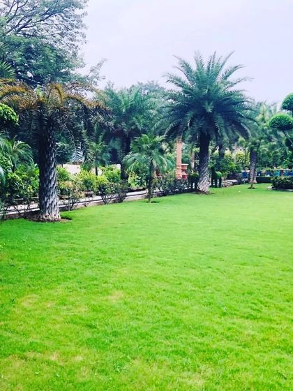 This is another view of a large-scale landscaping project. I use a variety of palms and topiaries to create texture and points of interest within the garden design.