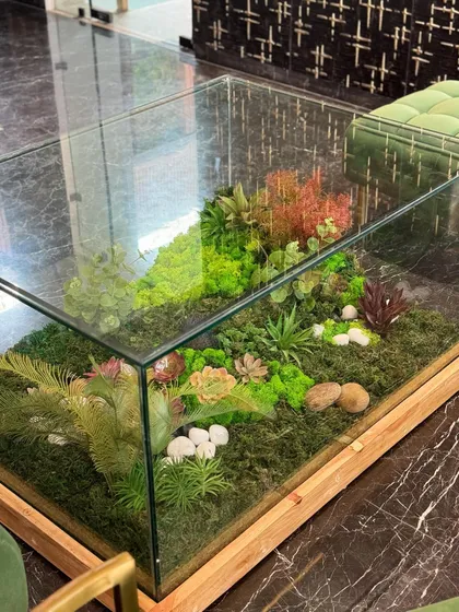 The completed terrarium coffee table, a stunning and unique centerpiece that brings a self-contained ecosystem of maintenance-free greenery into the home.