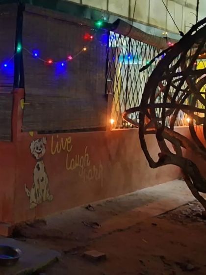 PetStepin - Pet-Friendly Events Quiet Zones for Noisy Festivals photo 15