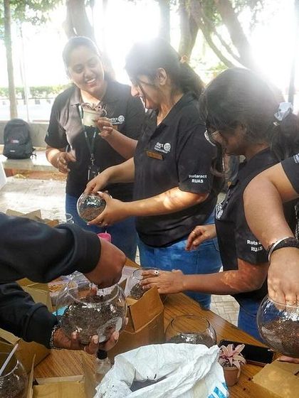 Healing Garden - Corporate Wellness & Team Building University & Youth Programs photo 10