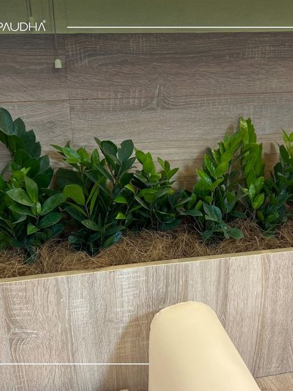 Paudha - Commercial Biophilic & Interior Design Wellness & Healthcare Spaces photo 4