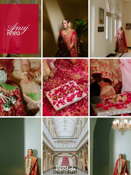 A Look Back: Our Favorite Stories photo 16