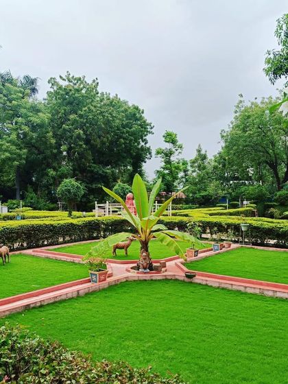 A star-shaped garden design with hedges, pathways, and a central banana plant feature. This shows my ability to execute creative and formal garden layouts.