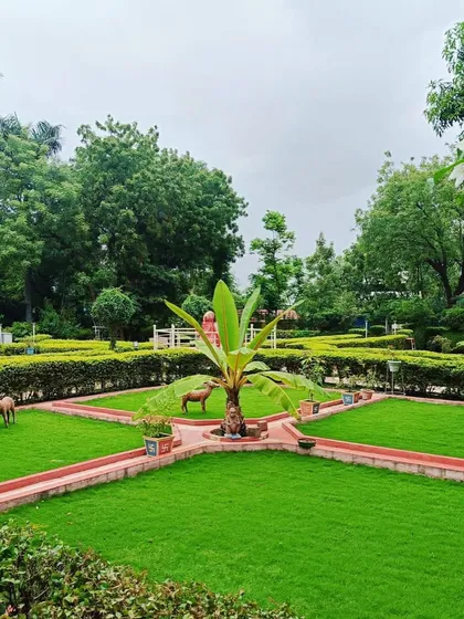 A star-shaped garden design with hedges, pathways, and a central banana plant feature. This shows my ability to execute creative and formal garden layouts.