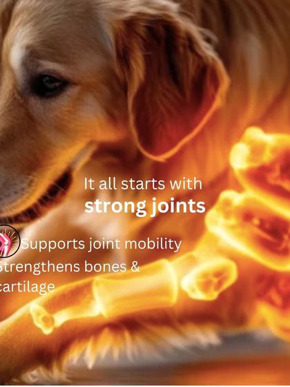 The Barkery by NV - Functional & Health-Specific Treats Joint & Mobility Support photo 9