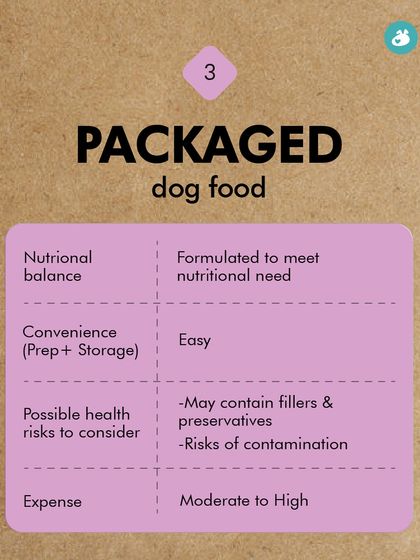 The Pack - Pet Parent Education & Workshops The Healthy Bowl: Canine Nutrition & Recipes photo 29