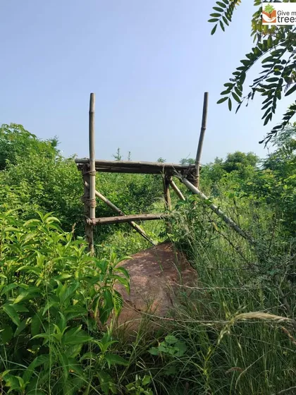 A simple bamboo structure marks a spot within the dense greenery of the Arayna site. We use natural, biodegradable materials to build structures that blend seamlessly into the environment.