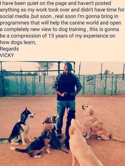 I've been busy working on new programs based on my 15 years of experience. Soon, I will bring a completely new view to the canine world based on how dogs actually learn.