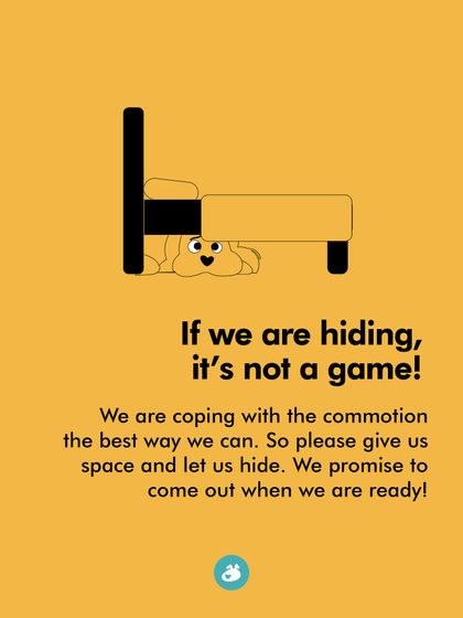 The Pack - Online Pet Parent Community Additional Resources & Updates photo 17