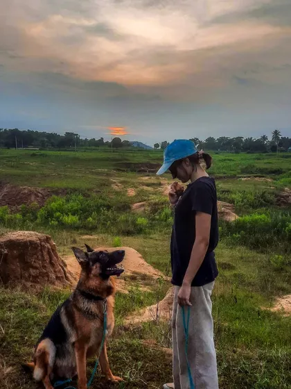 Just a girl and her German Shepherd against a beautiful sunset. Training him to hold a calm 'sit' in an open field like this is a result of consistent, positive practice.