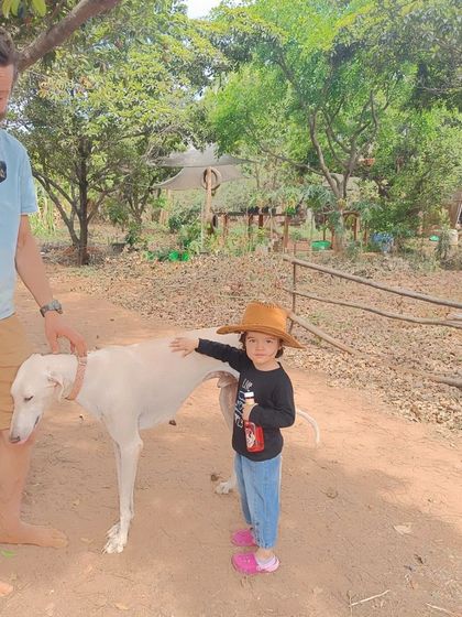 Nivriti Montessori - Summer Camp Field Trips & Outdoor Adventures photo 24