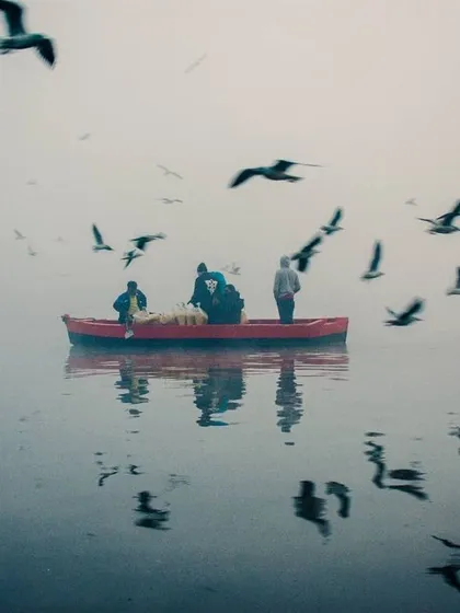 The birds are a huge part of the Yamuna Ghat experience. Here, I captured their reflections in the water, creating a beautiful, almost abstract pattern of movement.