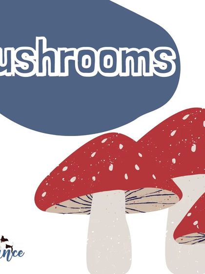While some store-bought mushrooms are okay, many wild mushrooms are highly toxic. To be safe, it's best to avoid feeding any mushrooms to your dog.