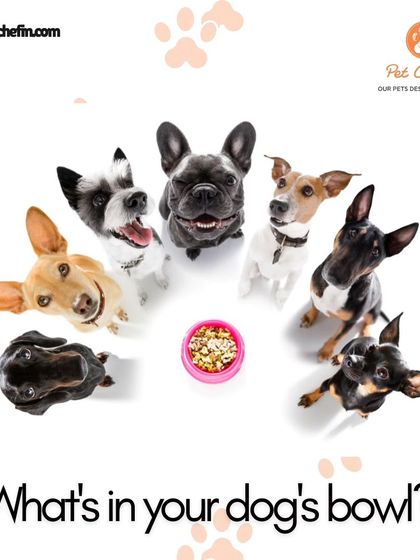What's in your dog's bowl? A healthy meal should include high-quality protein, vital vitamins and minerals, healthy fats, and proper hydration.