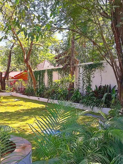 A view of the garden showing how we integrate existing mature trees into our design. We built a circular seating bench around a large tree, creating a natural focal point and a shaded spot to enjoy the garden.