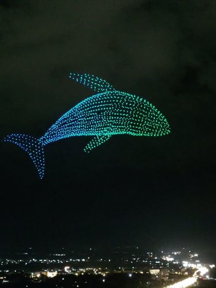A beautiful shot of a whale shark formation, captured by one of our team photographers. This image showcases the intricate designs and vibrant colors we can achieve.