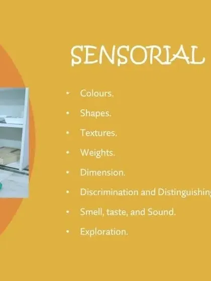 A child works with geometric shapes, a sensorial activity that helps in distinguishing different forms and lays the groundwork for geometry.