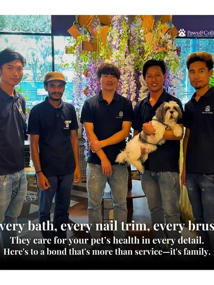 Our team of certified groomers is the heart of our spa. Here they are with a happy Shih Tzu, showcasing the bond they build with every pet. Their expertise in handling and grooming ensures that every bath, trim, and brush is done with love and professionalism.