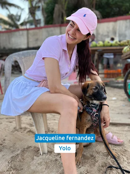 Jacqueline Fernandez with her adopted indie, Yolo. Every time a celebrity gives a home to a stray, they become a champion for compassion.