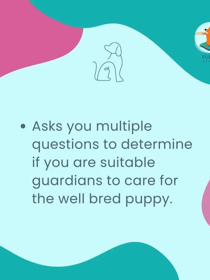 Furry Story - Pet Sitter & Home Boarder Training Resources for Pet Parents & Sitters photo 4