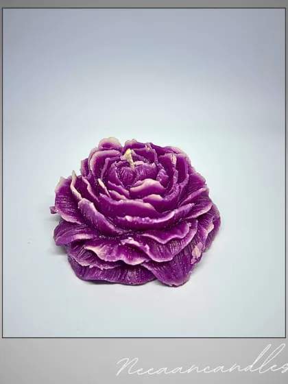 This Raksha Bandhan, gift something as unique as your bond. Our handcrafted purple rose candle is a symbol of love, care, and timeless memories.