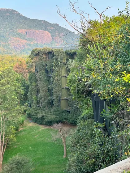 A building in Sri Lanka almost completely covered in green vines, blending it into the surrounding forest. This is a powerful example of "tropical modernism" and the harmony between architecture and nature.