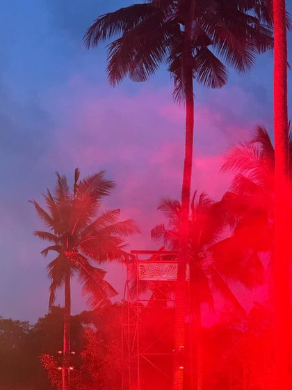 A photo from my 2023 dump, capturing a beautiful sunset with palm trees and red smoke, reflecting the vibe of my travels.