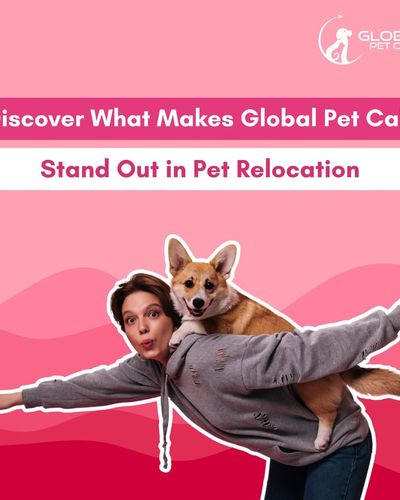 Domestic Pet Relocation