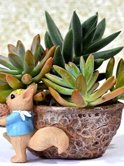 This squirrel nut pot is a charming choice for housing succulents. The image shows how a variety of small plants can be arranged within the pot to create a full and lively display.