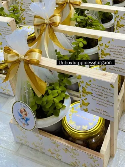 This shot highlights the combination of the eco-friendly plant and edible treats, offering a gift that is both lasting and delicious.