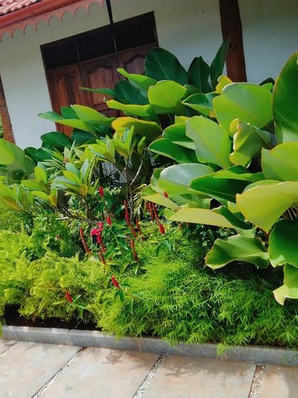 Residential Garden Transformations photo 3