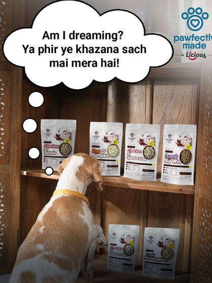 Is this a dream or is all this treasure really mine? That moment when your pet discovers their personal stash of Pawfectly Made meals.
